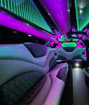 inside a wedding limo